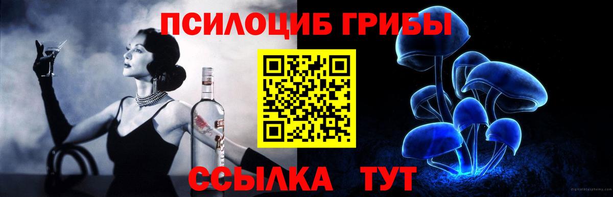 Псилоцибиновые грибы мицелий Чапаевск